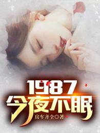 1987:今夜不眠免费全文阅读