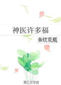 《神医许多福》作者:条纹花瓶