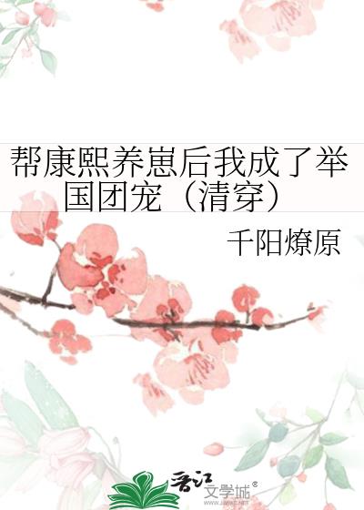 清穿我给康熙当国师攻是谁