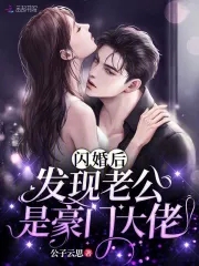 闪婚老公是总裁的小说