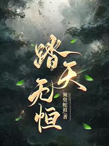 《踏天无痕》