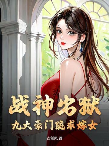 战神豪婿小说