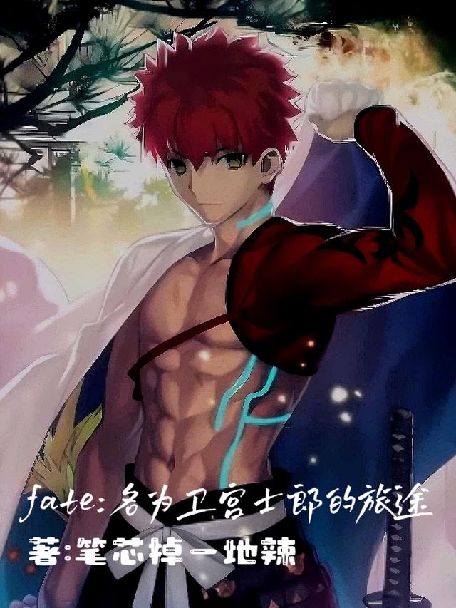 fate：名为卫宫士郎的旅途