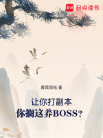 你搁这养BOSS?TXT下载