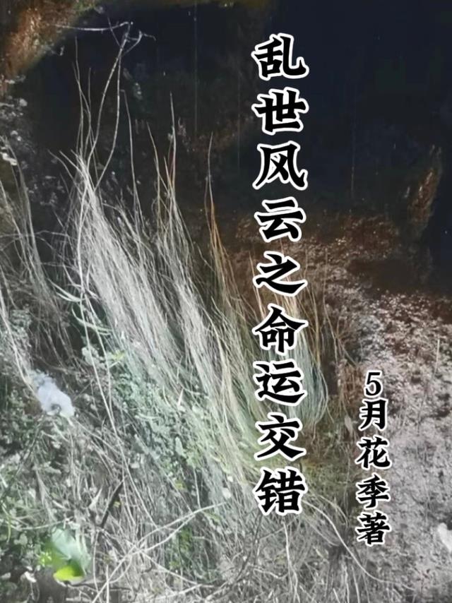 电视剧乱世风云