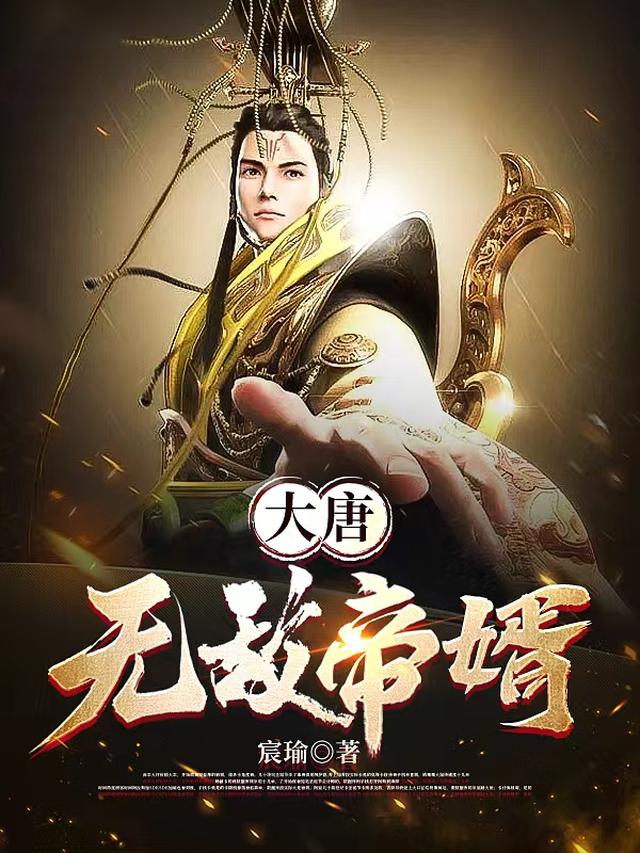 大唐无敌帝婿下载