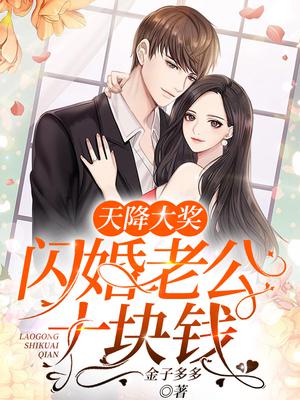 闪婚老公从天降小说免费阅读