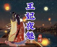 夜王妃穿越